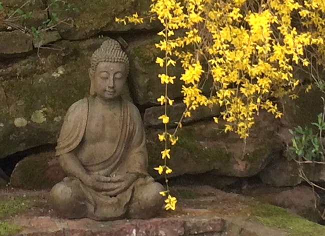 Buddha mit Blüten